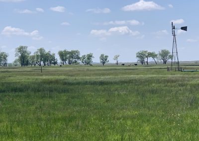 Holt County Pasture Nebraska Directory Holt County Pasture
