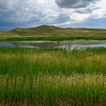 A sandhills wetland photographed in Cherry County Nebraska Directory A sandhills wetland photographed in Cherry County