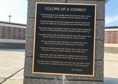 Colors of a Cowboy