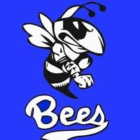 Bloomfield Bees