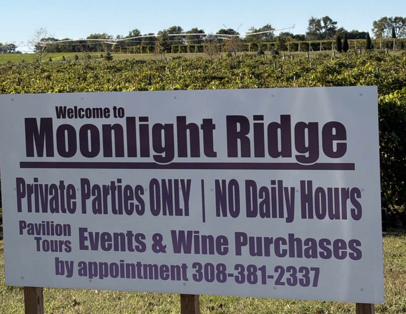 Moonlight Ridge Vineyard
