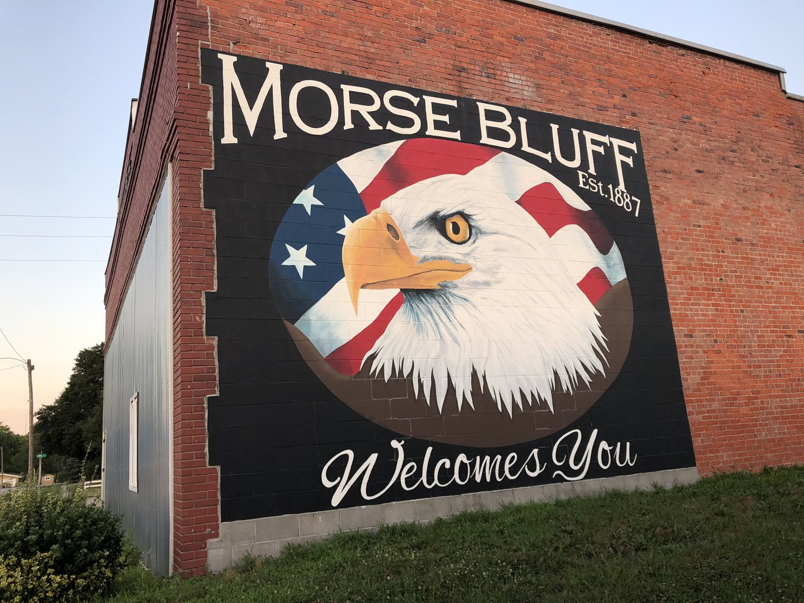 Morse Bluff Welcomes You eagle mural, Morse Bluff, Nebraska Morse Bluff Welcomes You eagle mural, Morse Bluff, Nebraska