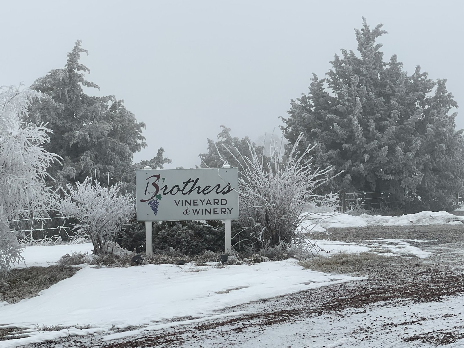 Three Brothers Vineyard and Winery Three Brothers Vineyard and Winery